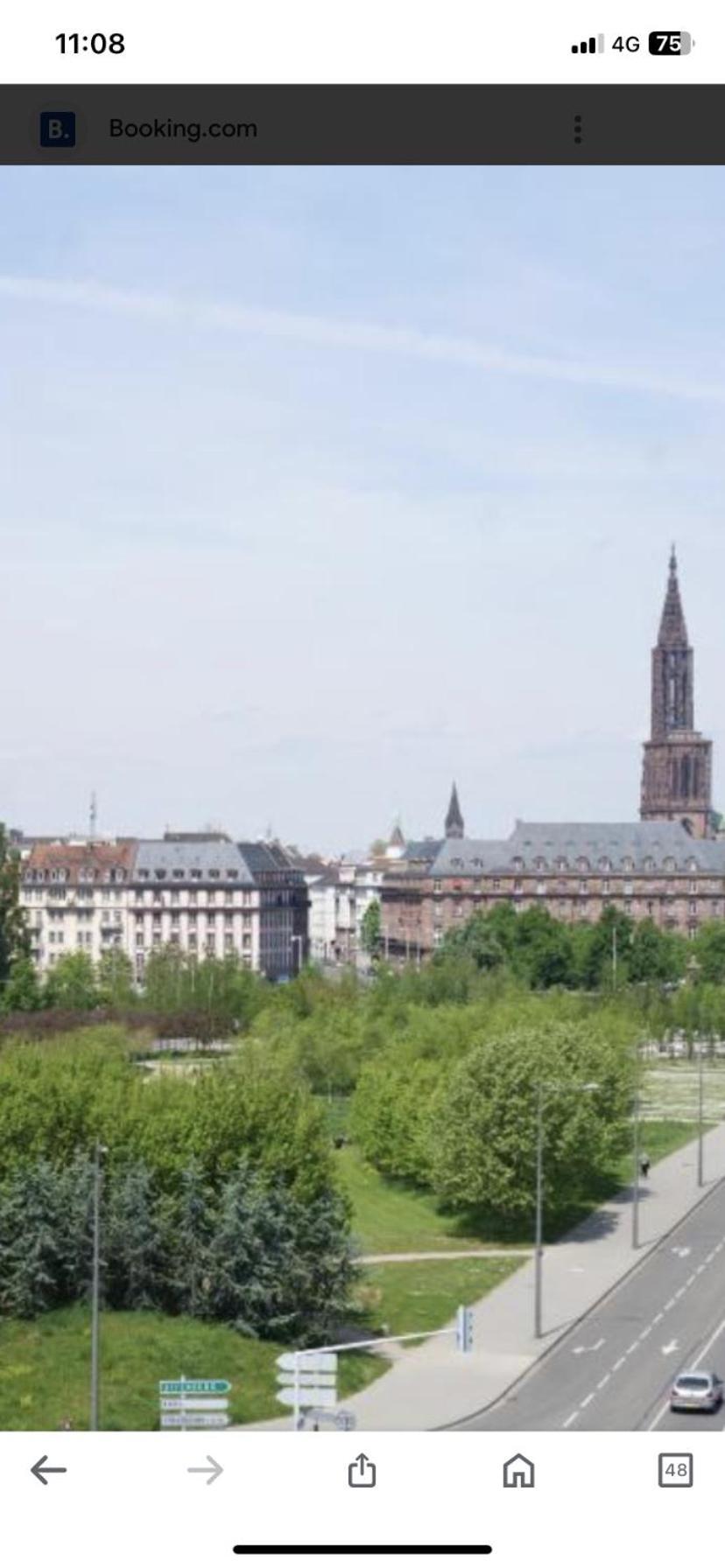 Le Carre Des Oiseaux Apartment Strasbourg Luaran gambar